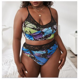 Νέα δαντέλα τυπωμένο άνετο σετ εσώρουχα: εργοστάσιο χονδρικής πώλησης